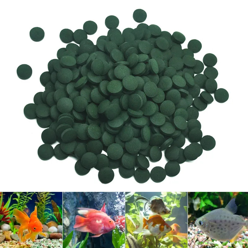 50-300 pçs comprimidos de spir - Aquarium Fish Food avaliação e preço