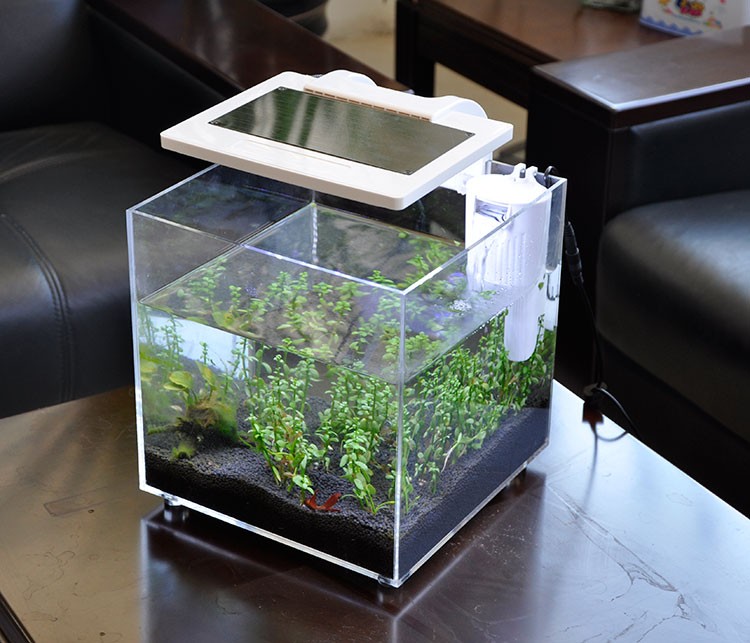 Mini Aquário de Acrílico (25*2 - Aquarium Fish Sale avaliação e preço