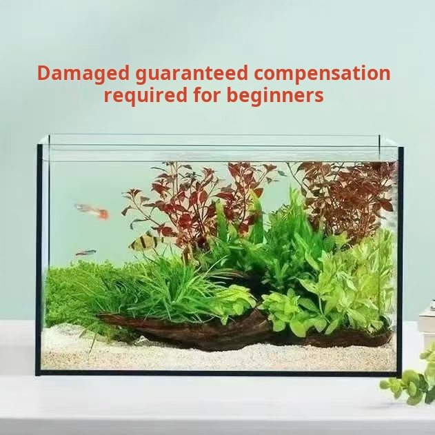 Aquário de vidro retangular gr - Aquarium Fish Keeping avaliação e preço