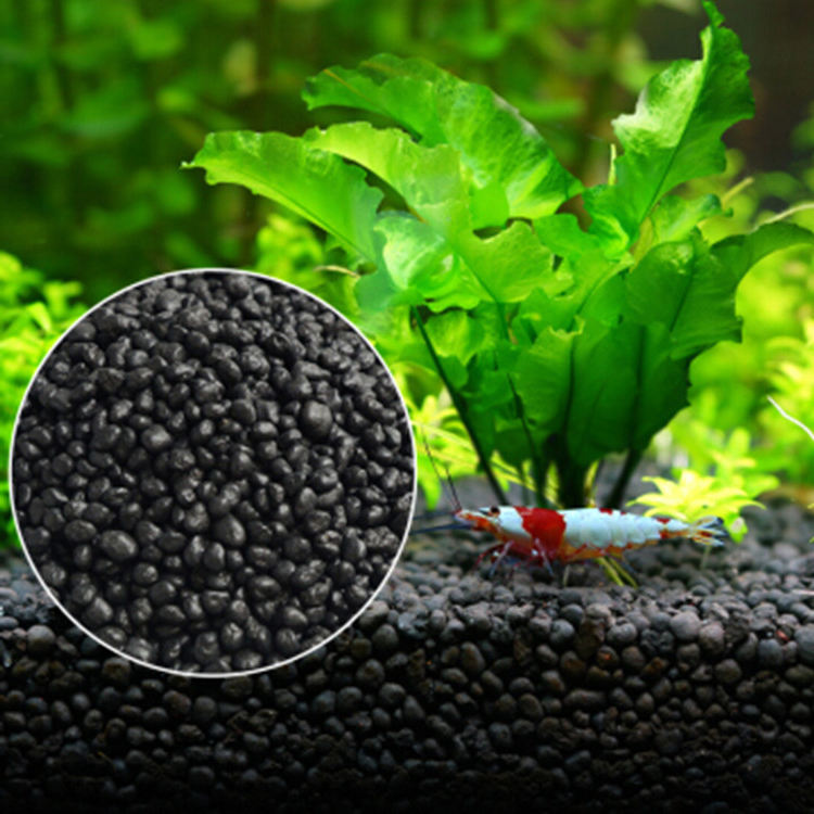 Solo para plantas do tanque de - Aquarium Fish Photography avaliação e preço