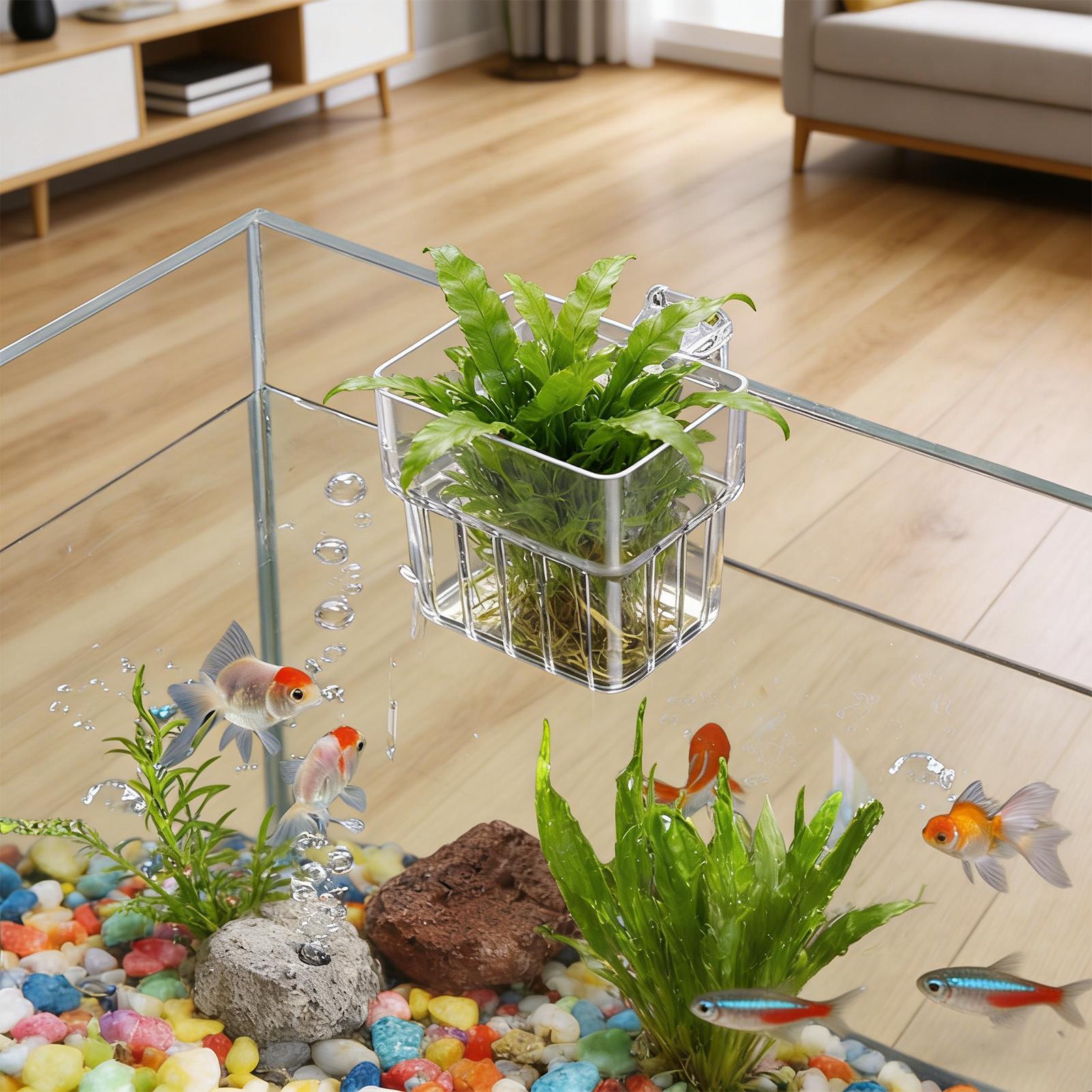 Suporte Transparente para Aquá - Aquarium Fish Pot avaliação e preço