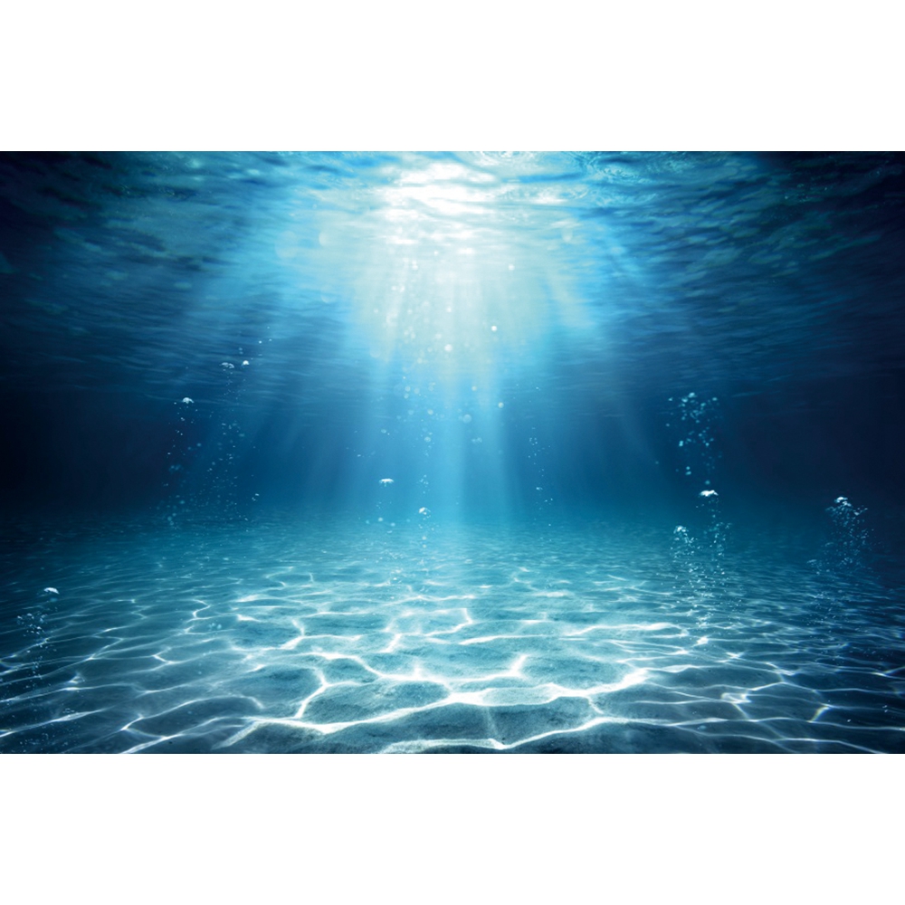 Mundo subaquático fundo do mar - Aquarium Fish World avaliação e preço