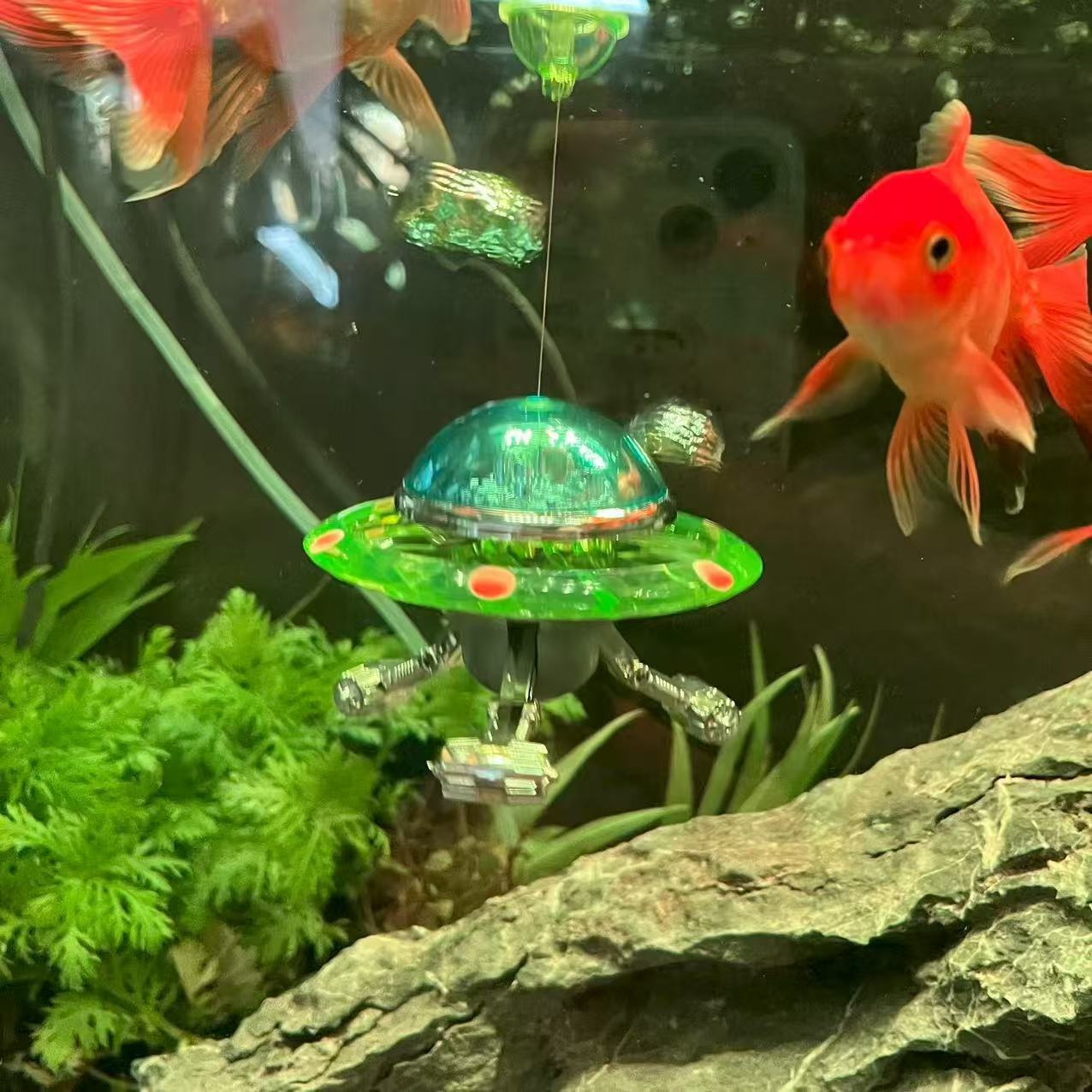 Estátua de Aquário Suspensa em - Aquarium Fish World avaliação e preço