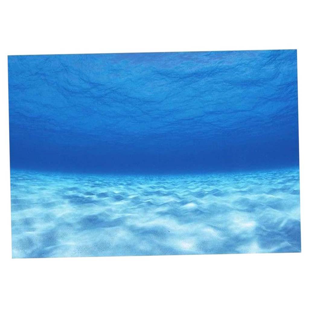 Lado decorativo fundo do aquár - Aquarium Fish World avaliação e preço