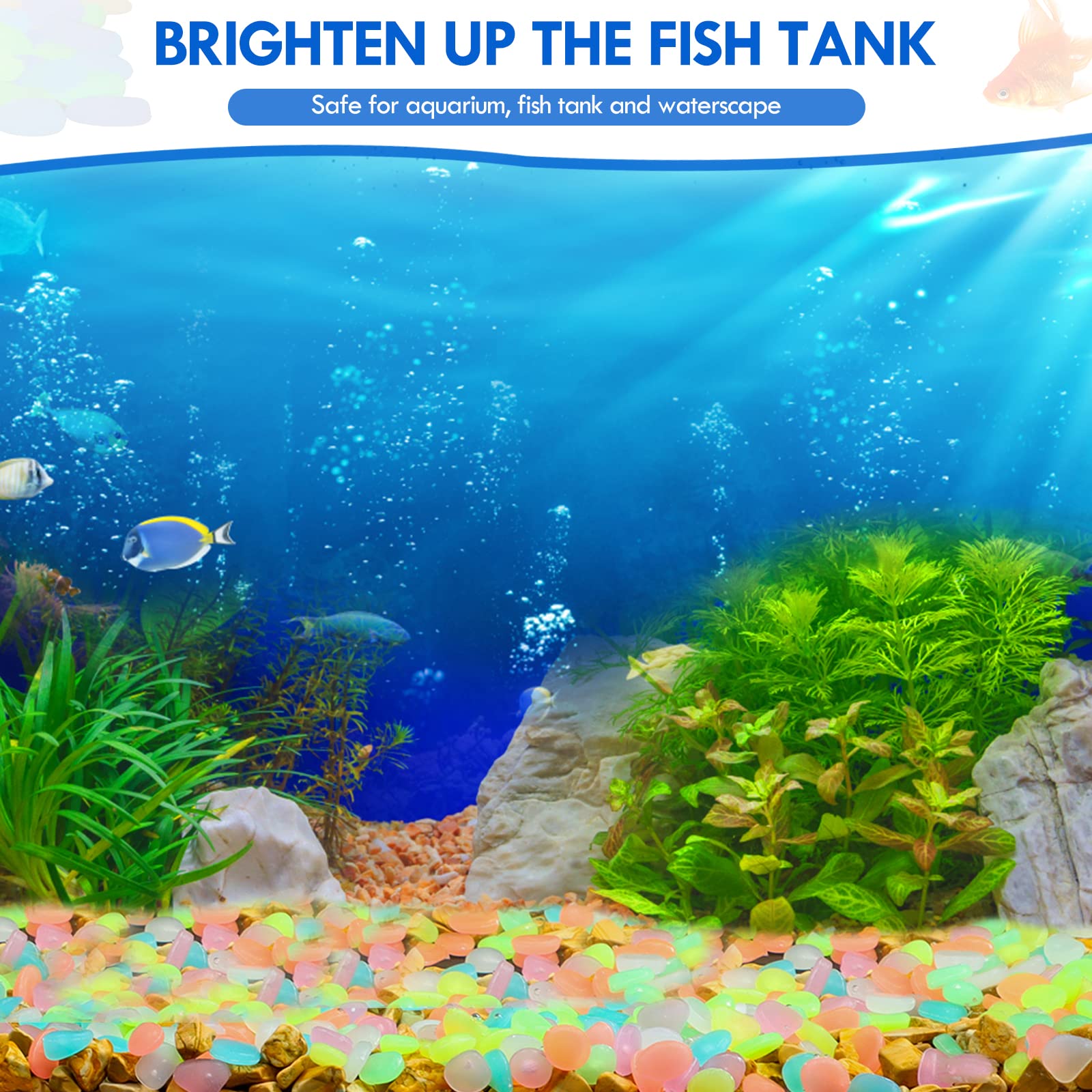 100 pçs brilham no escuro jard - Aquarium Fish Breeding avaliação e preço