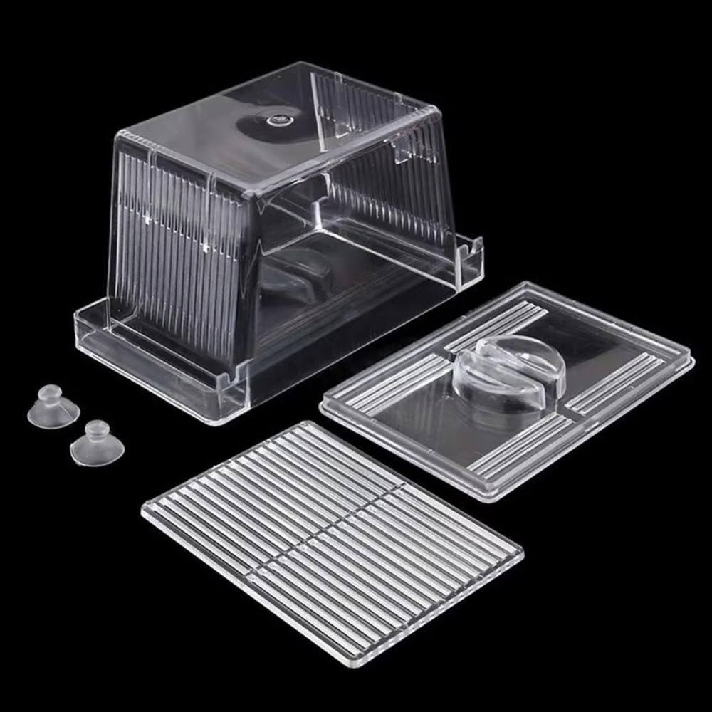 Criativo acrílico tanque de pe - Aquarium Fish Reproduction avaliação e preço