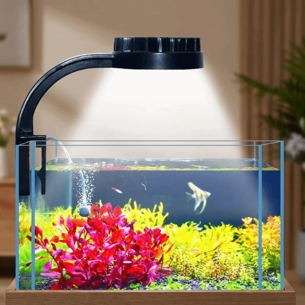Lâmpada de Aquário de Alta Lum - Aquarium Fish Keeping avaliação e preço