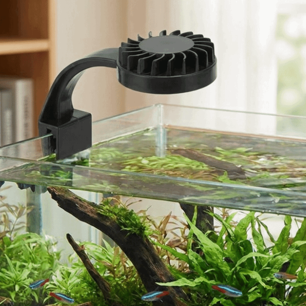 Lâmpada de Aquário de Alta Lum - Aquarium Fish Keeping avaliação e preço