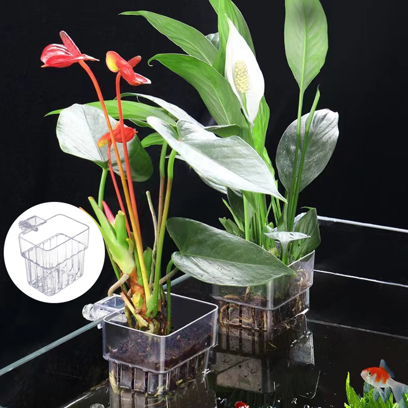 Multifuncional Aquário De Peix - Aquarium Fish Breeding avaliação e preço