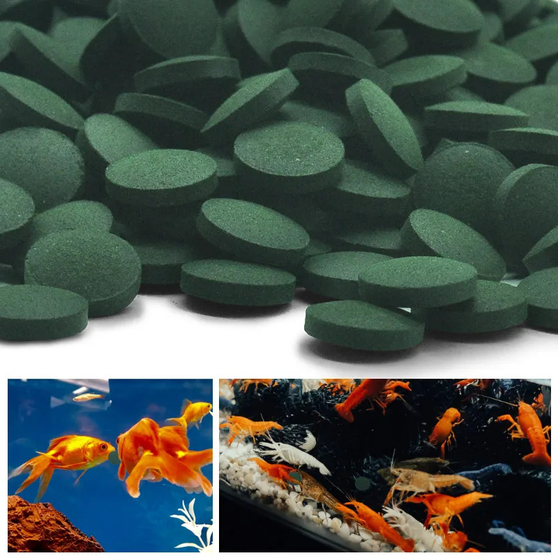 100-1500 Unidades de Comida pa - Aquarium Fish Food avaliação e preço