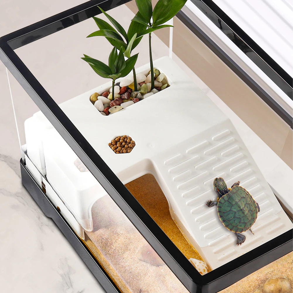 Grande tanque de tartaruga tra - Aquarium Fish Breeding avaliação e preço
