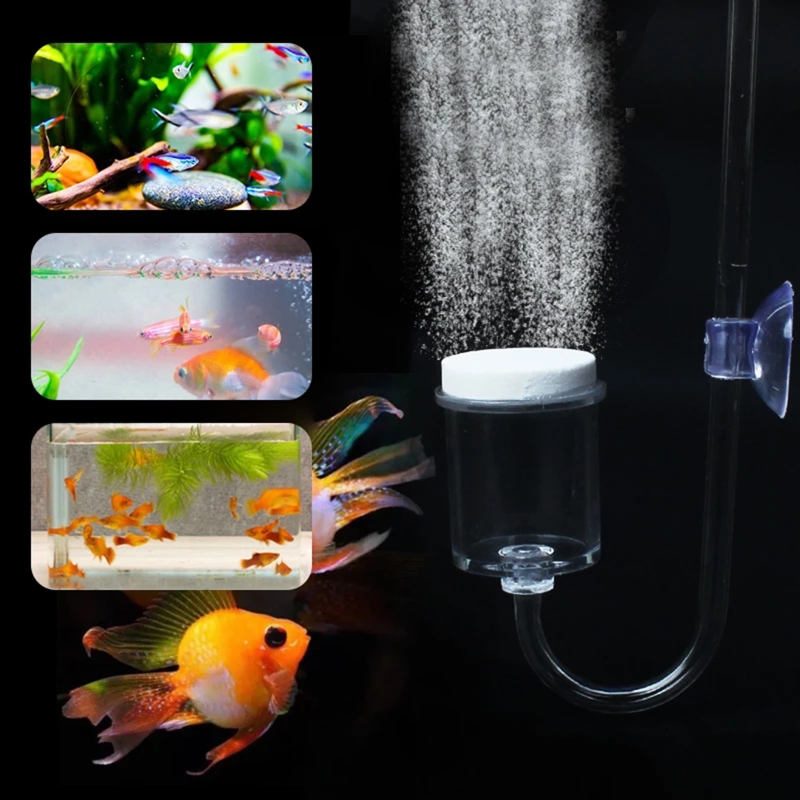 CO2 Difusor para Aquário, DIY  - Aquarium Fish Photography avaliação e preço