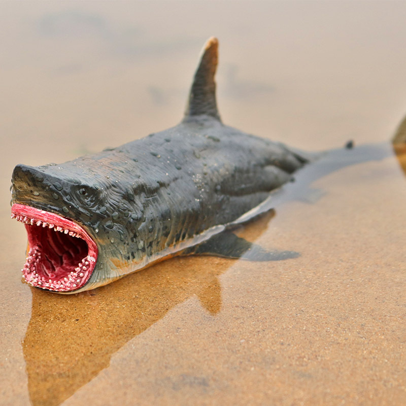 Savage oceano vida marinha hel - Aquarium Fish Keeping avaliação e preço