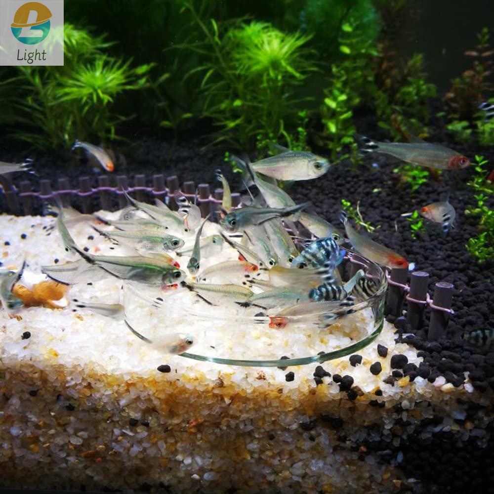 Tigelas De Alimentador De Aquá - Aquarium Fish Keeping avaliação e preço