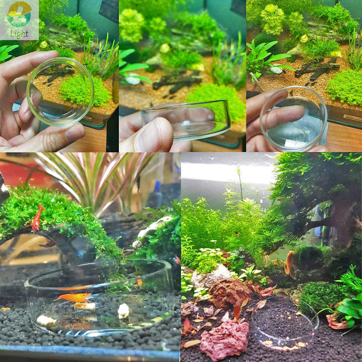 Tigelas De Alimentador De Aquá - Aquarium Fish Keeping avaliação e preço
