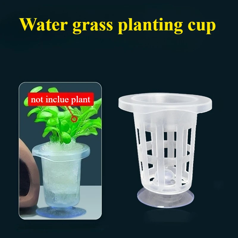 50 pçs/10 pçs cesta de plantio - Aquarium Fish Pot avaliação e preço