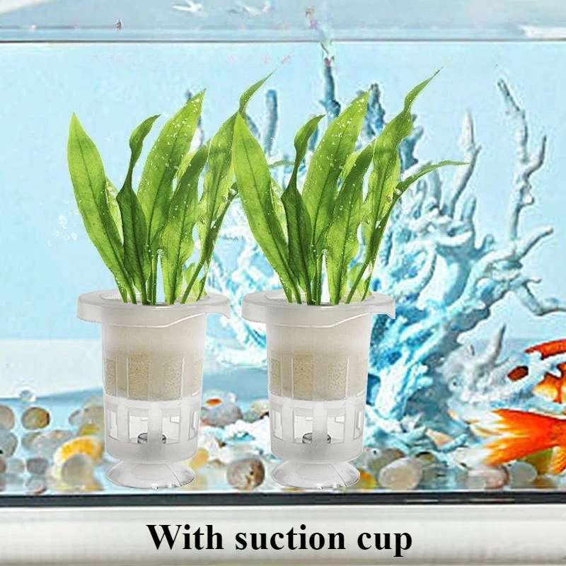 50 pçs/10 pçs cesta de plantio - Aquarium Fish Pot avaliação e preço